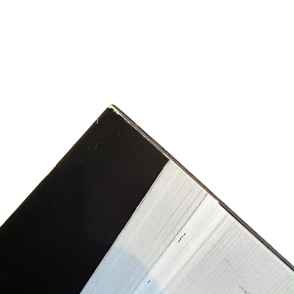 Bruce Springsteen The Promise: the Making of Darkness on the Edge of Town DVD - Picture 10 of 11